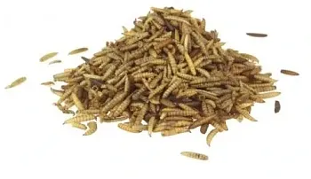 Bráněnka - Sušení červi 1 Kg