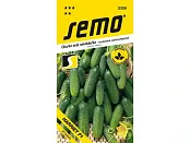 Výprodej - Okurka Harriet F1 1,5g *** **