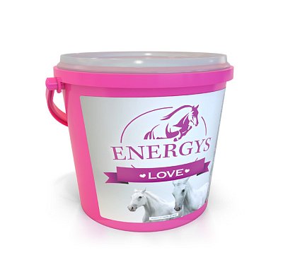 Pamlsky Energys Love 2 kg