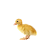  Prodej kachňat