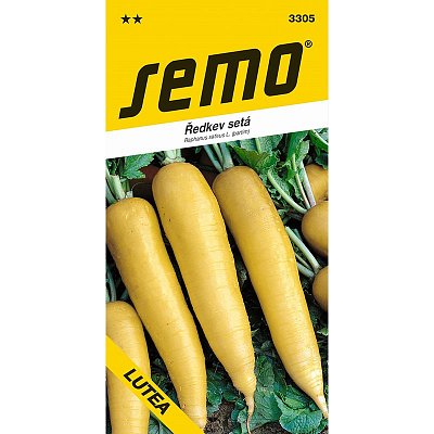 Výprodej - Ředkev setá Lutea **