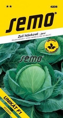 Zelí hlávkové Unikát F1 50s **