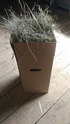 Seno v krabici 1kg