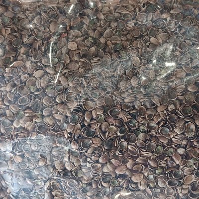 Zelená Země s.r.o. Konopné otruby 1 kg