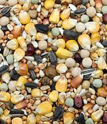 Zob pro holuby Úsporná směs bez pšenice EK 1 kg