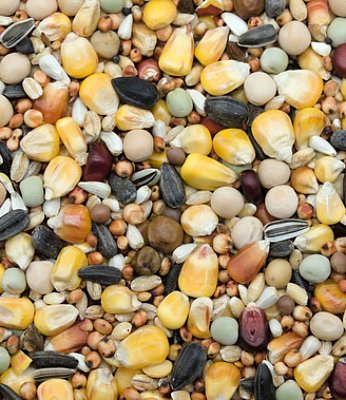 Zob pro holuby Úsporná směs bez pšenice EK 1 kg