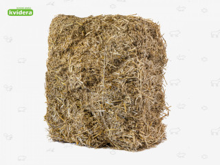 Pšeničná sláma balík 50 x 50 x 40 cm